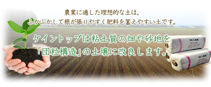 農業に適した理想的な土は、ふかふかして根が張りやすく肥料を蓄えやすい土です。ケイントップは粘土質の畑や砂地を「団粒構造」の土壌に改良します。