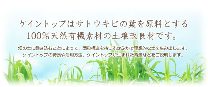 ケイントップはサトウキビの葉を原料とする100%天然有機素材の土壌改良材です。 畑の土に鋤き込むことによって、団粒構造を持つふかふかで理想的な土を生み出します。ケイントップの特長や活用方法、ケイントップが生まれた背景などをご説明します。