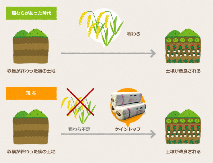 稲わらがあった時代 収穫が終わった後の土地 稲わら 土壌が改良される 現在 収穫が終わった後の土地 稲わら不足 ケイントップ 土壌が改良される
