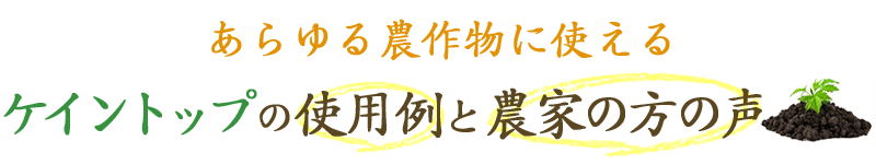 あらゆる農作物に使えるケイントップの使用例と農家の方の声