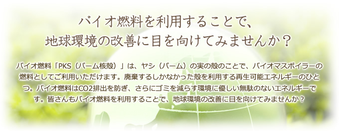 バイオ燃料を利用することで、地球環境の改善に目を向けてみませんか？バイオ燃料「PKS（パーム核殻）」は、ヤシ（パーム）の実の殻のことで、バイオマスボイラーの燃料としてご利用いただけます。廃棄するしかなかった殻を利用する再生可能エネルギーのひとつ。バイオ燃料はCO2排出を防ぎ、さらにゴミを減らす環境に優しい無駄のないエネルギーです。皆さんもバイオ燃料を利用することで、地球環境の改善に目を向けてみませんか？